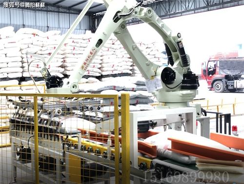 碼垛機 后段包裝物流自動化的核心引擎與技術創新前沿